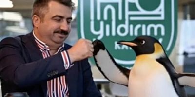 Dünyanın konuştuğu penguen Yıldırım Cafe'de!