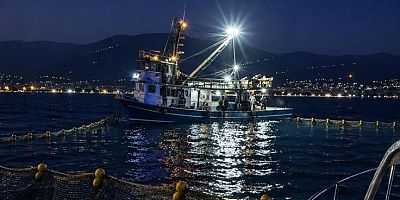 Gemlik Körfezi’nde sardalya avcılığı başladı