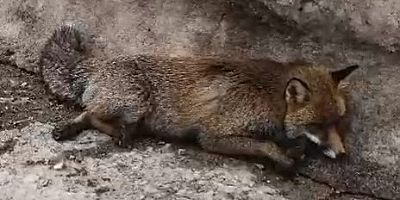 İşte Bursa'daki duyarlı ve duyarsız vatandaş arasındaki fark!