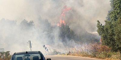 İznik'te korkutan yangın; Çiftçiler, traktörleriyle yardıma koştu
