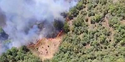 Kestel'den sonra şimdi de Yenişehir; Bursa'da bir orman yangını daha