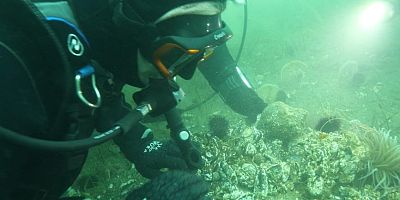 Marmara Denizi'nde neler oluyor? 