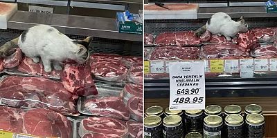 Mide bulandıran görüntü!