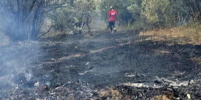 Mudanya'da rüzgarın etkisiyle büyüyen yangın kontrol altına alındı