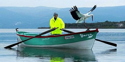 Müjdeli haber geldi; Yaren leylek 15.kez yuvasında!