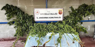 Narkotik köpeği “Evin” uyuşturucuyu böyle tespit etti!
