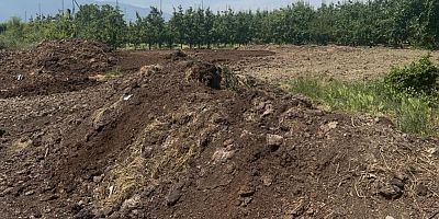 Organik gübre fiyatları değişmedi