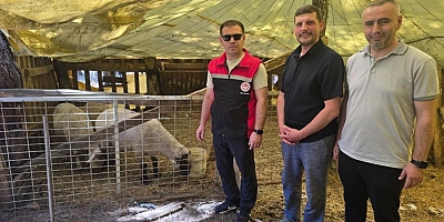Orhaneli'de hayvan yetiştiren işletmeler kontrol edildi