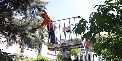 Osmangazi’de yeşil alanlar titizlikle korunuyor