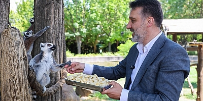 Şahin Biba, Bursa Hayvanat Bahçesi için düğmeye bastı!