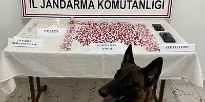 Uyuşturucu operasyonu: 2 bin 650 hap ele geçirildi