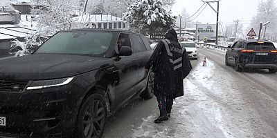 Zincirsiz Uludağ'a çıkmak yasak!