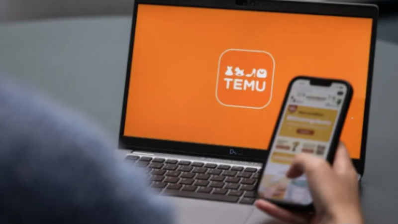 TEMU'yu kullananlar dikkat;  Kanserojen ve alerjen madde tespit edildi