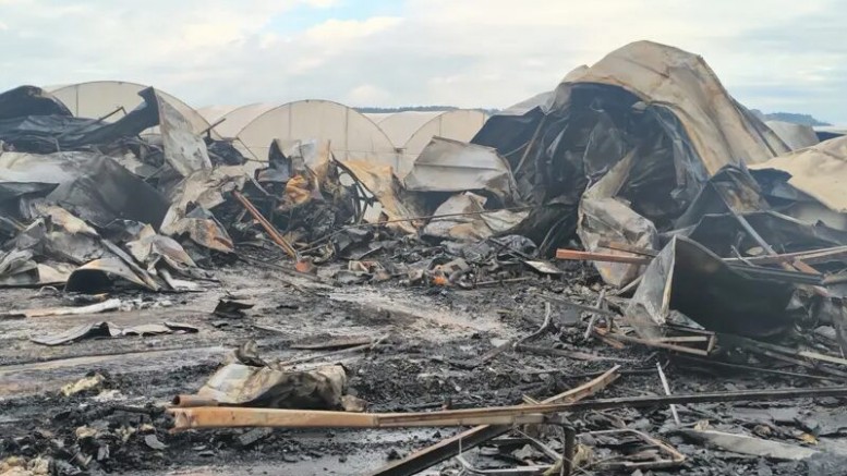 Türkiye bayrama kahreden haberler uyandı;  5’i çocuk 6 ölü