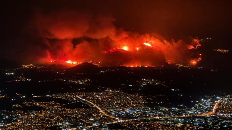 Türkiye'de ormanların sorumluluğu kimde? Belediyeler bu işin neresinde?