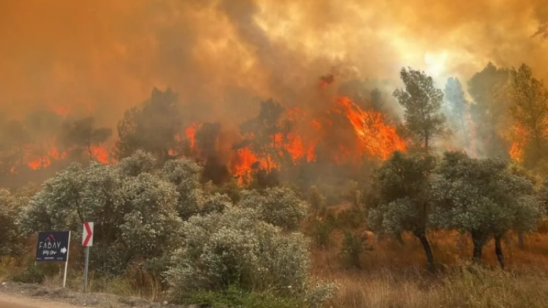 Türkiye'yi kahreden haber