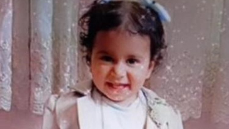 Türkiye'yi sarsan olay; 2 yaşındaki çocuk köpekler tarafından öldürüldü