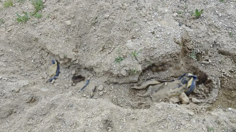 Tüyler ürperten cinayet! İstanbul'da öldürüp, Nevşehir'de gömmüşler