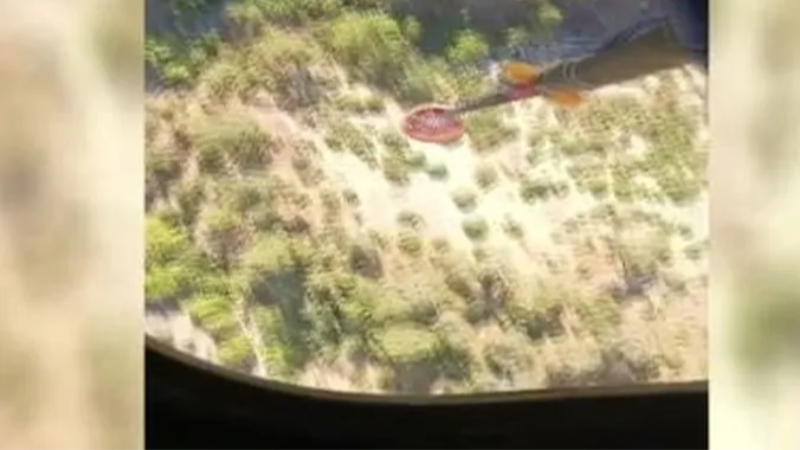 Uraloğlu helikopterle Bursa'daki orman yangınını havadan inceledi