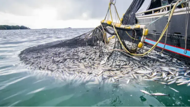 Vira Bismillah; Haydi hayırlısı...