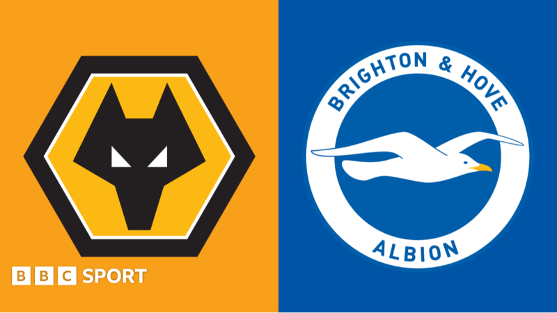 Wolves-Brighton maçı saat kaçta, hangi kanalda?