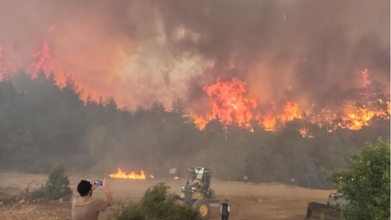 Yangınlar insan kaynaklı