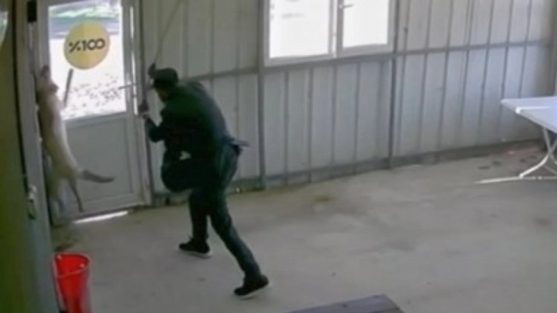 Yaşından başından utan; Köpeği bastonuyla dövdü...