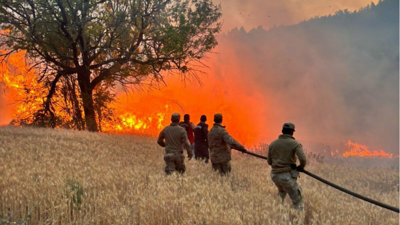 Yerlikaya açıkladı! 61 orman yangınıyla ilgili 23 gözaltı