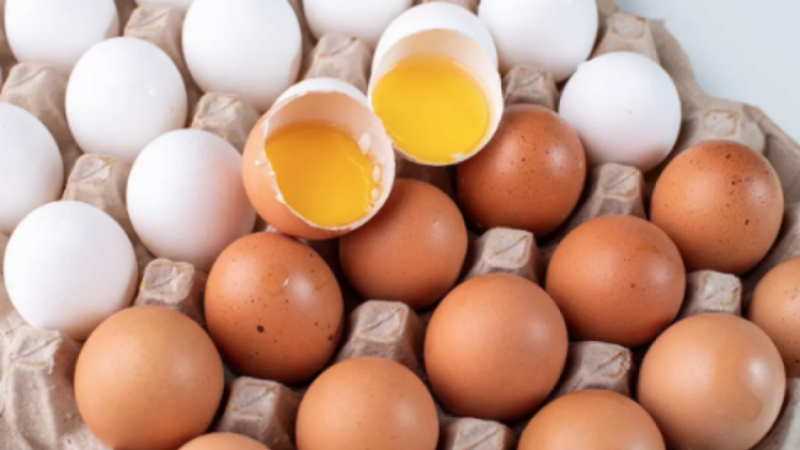 Yumurta alırken dikkat; Artık bu şekilde satılacak
