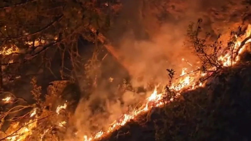 Yüreğimiz yanıyor; Art arda taziye mesajları...
