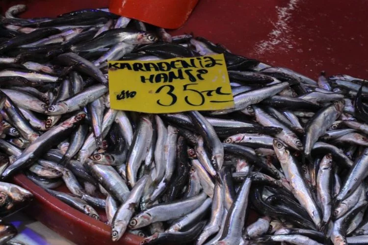 Balık fiyatlarında ramazan düşüşü