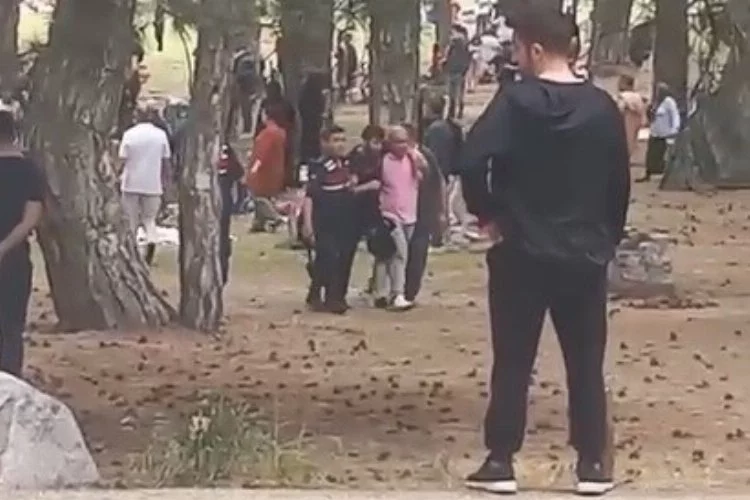 Bursa'da piknikte meydan kavgası