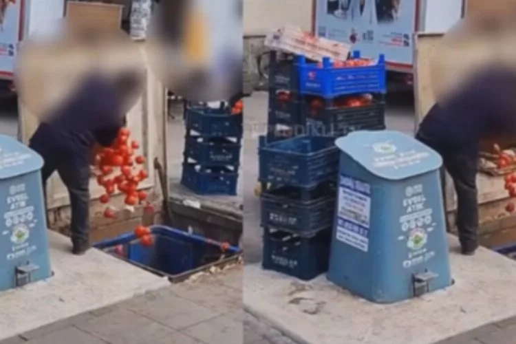 Domatesleri çöpe döken markete bakanlıktan ceza