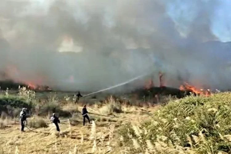 Edremit Ovası’nda  yangın