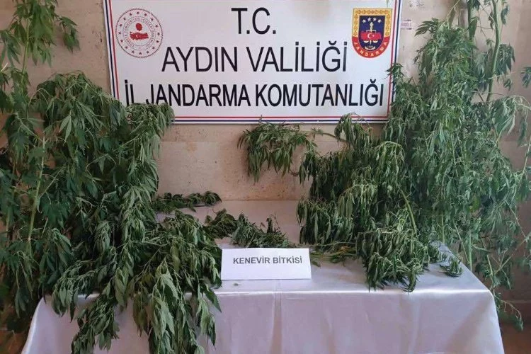 Jandarma uyuşturucu satıcılarına nefes aldırmıyor
