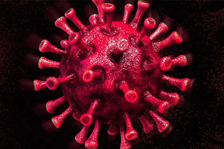 Korona virüs salgınında rekor üstüne rekor