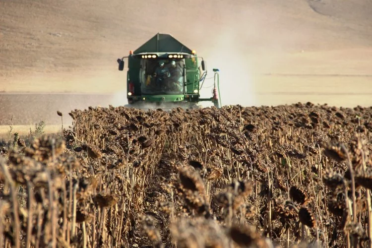 Tarım-ÜFE yıllık yüzde 156 arttı