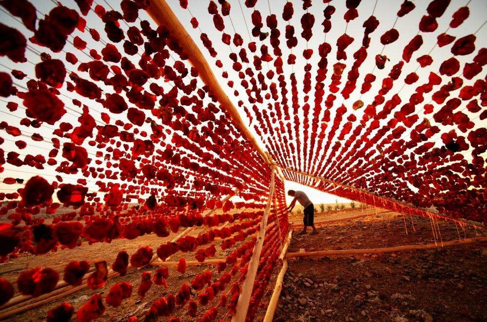 DOLMALIK BİBER KURUSU TESCİLLENDİ 