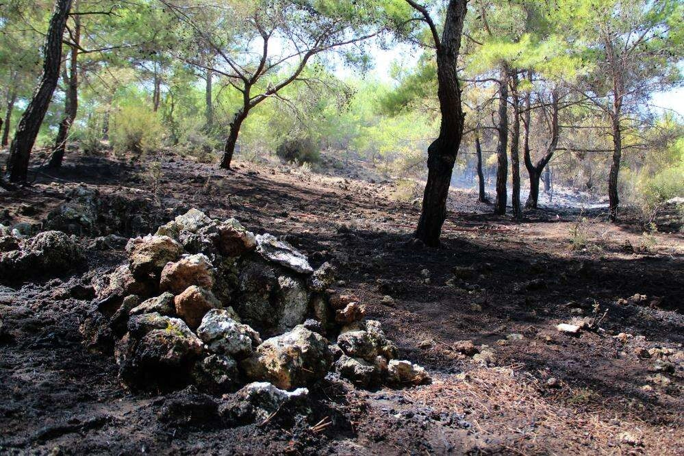 CENGİZ HOLDİNG'DEN AFET BÖLGESİNE YARDIM