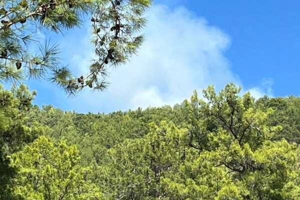 Fethiye’de orman yangını