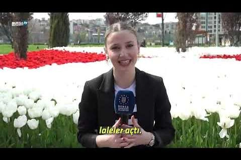 Baharın renkleri Bursa'yı sardı