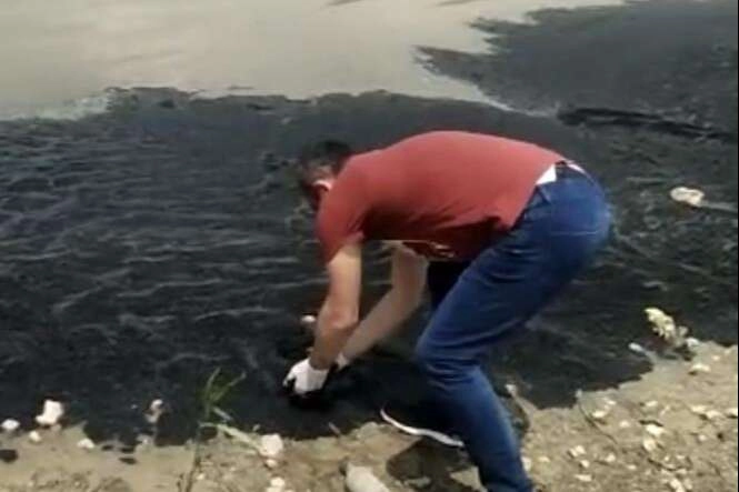 Boğazköy Barajı'nda ürküten görüntü