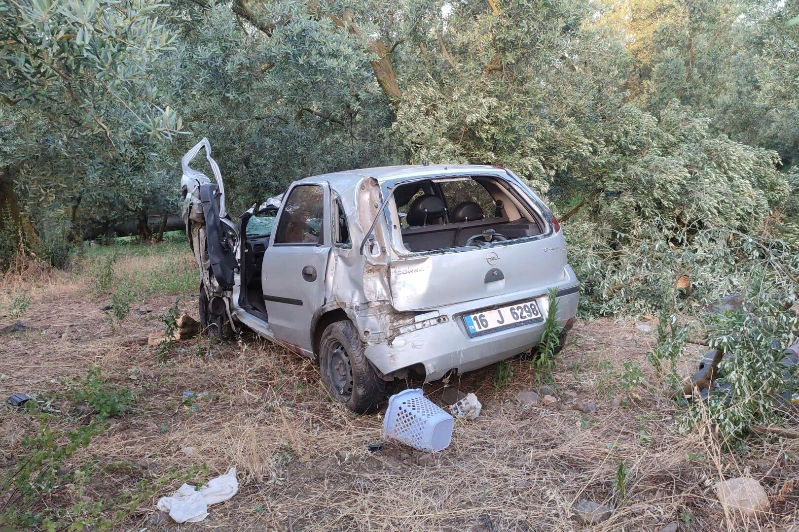 Otomobil zeytinliğe daldı