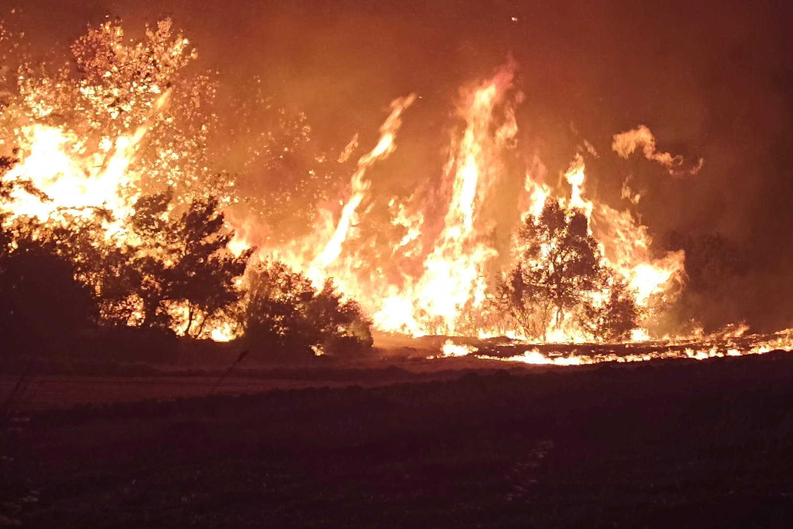 Bakan'dan son dakika Çanakkale açıklaması