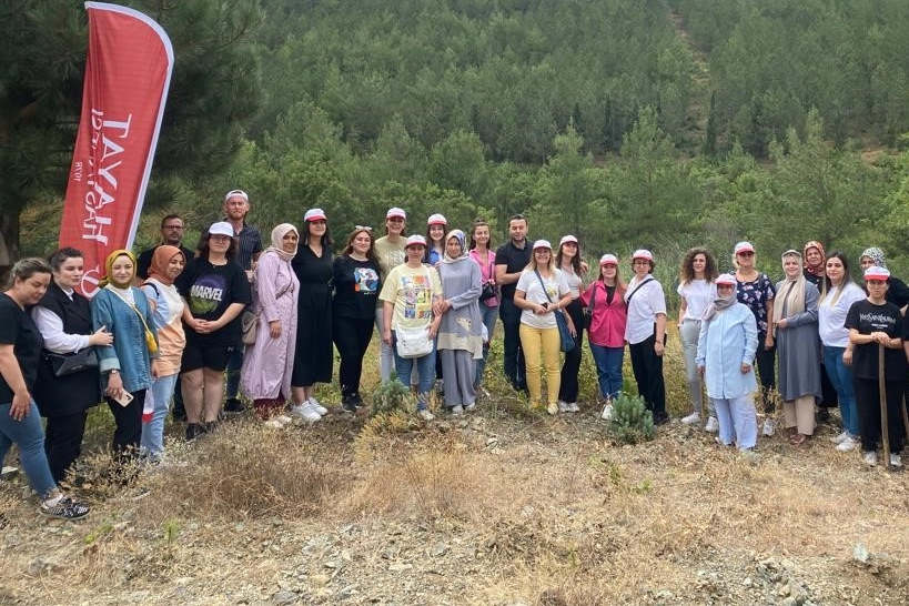 Sağlık çalışanları ağaçların da bakımını yaptı
