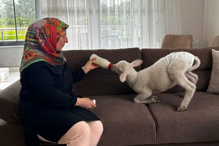Bursa’da yürek ısıtan olay!