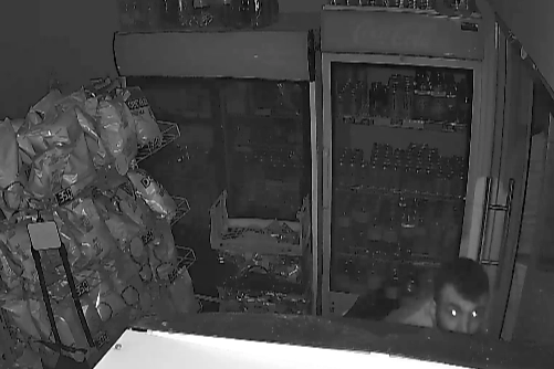 Kuruyemişçiye girenler güvenlik kamerasına yakalandı