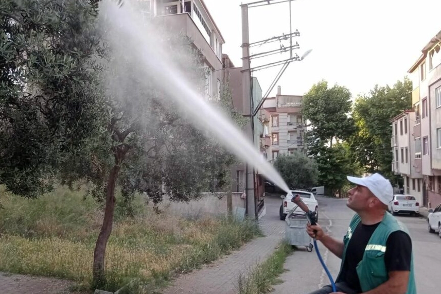 Orhangazi’nin ağaçları haşere tehdidine karşı korunuyor