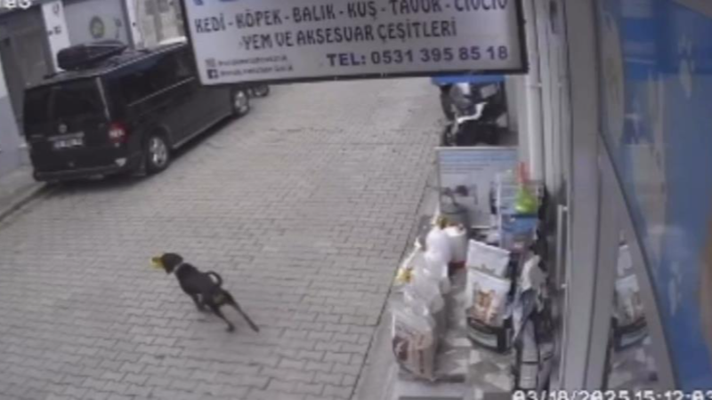 Bursa'da gülümseten anlar!