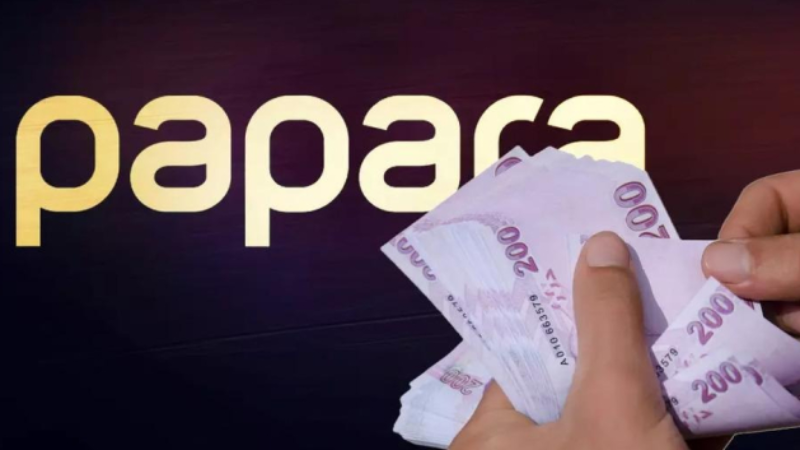 Papara'nın sahibi için flaş karar